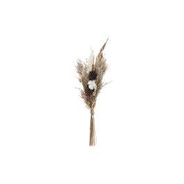 DKD Home Decor Ramo de Flor Seca Marrón y Rosa Palo de 56 cm Alto - Pack 6 Unidades Precio: 39.9663. SKU: B1F49WC9V2