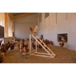 Torre trepadora para gallinas - KERBL - 85 x 55 x 76 cm - Con columpio - Escalera robusta Torre trepadora para gallinas - KERBL - 85 x 55 x 76 cm - Con columpio - Escalera robusta