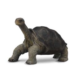 Collecta 88619 Tortuga Gigante de Pinta - Figura Réplica Real Pintada a Mano Detallada Animal Salvaje Escala M Educacional +3 Años Precio: 5.9532. SKU: B15MRXVVR5