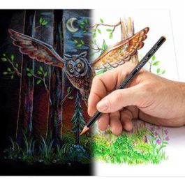 Lapices De Colores Staedtler Design Journey Super Soft 149C Estuche Metal De 24