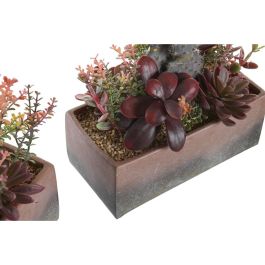 Planta DKD Home Decor Naranja Rosa 9 x 22 x 19 cm (2 Unidades)