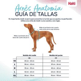 Halti Anatomy Arnés Gris L Cuerpo 60-85 cm Halti Anatomy Arnés Gris L Cuerpo 60-85 cm