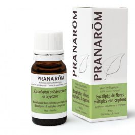 Aceite Esencial Aeq Eucalipto Flores Múltip. Bio Precio: 28.49999999. SKU: B1DFEWN4HR