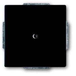 BUSCH JAEGER BJ 1742-885 Blindzentralscheibe future linear schwarz matt Precio: 30.2379. SKU: B1H2VMYE7B