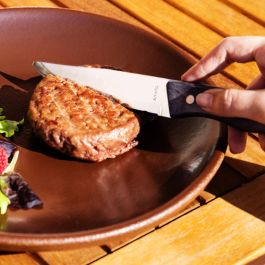Amefa Hercule Cuchillo Chuletero Acero Inoxidable 25 cm (6 Unidades)