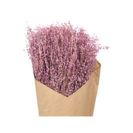 Giftdecor Ramillete de Centeno Natural Surtido, Vegetal, Colores Natural, Verde y Morado, 10x40x10 cm