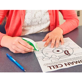 Paper Mate Cinta Correctora Dryline Grip 8,5M X 5MM Secado Rápido Agarre Cómodo Ref. 1862884