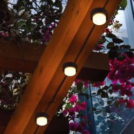 Lumisky SOLIRAY 10 mini puntos de luz solar LED blanco cálido para insertar, 12 m, señalización de caminos