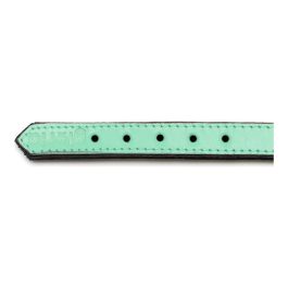 Collar Piel Acolchado 30 cm X 15 mm Verde