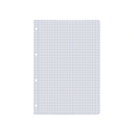 Liderpapel Recambio A4 100 Hojas 60gr Milimetrado Sin Margen 4 Taladros