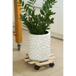 Nature Mesa enrollable para plantas - Abeto - H7.4 x Ø35 cm