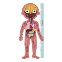 Puzle Cuerpo Humano 240 Piezas R.19438 Apli Puzle Cuerpo Humano 240 Piezas R.19438 Apli