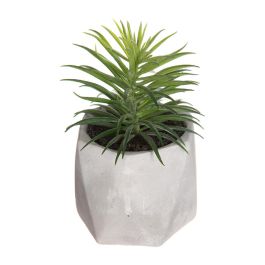 Planta decorativa con maceta 7x14cm modelos surtidos