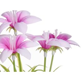 Ibergarden Maceta Flor Abierta Surtida, diámetro 8 cm para plantas, 14x21x14 cm, colores aleatorios (24 Unidades) Ibergarden Maceta Flor Abierta Surtida, diámetro 8 cm para plantas, 14x21x14 cm, colores aleatorios (24 Unidades)