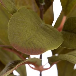 Rama Ficus Verde Artificial Decoración 12 X 10 X 38 cm