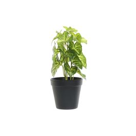 DKD Home Decor Planta Decorativa Artificial de PVC y Plástico Verde y Negro, Medidas 12x12x27 cm (Pack de 4 Unidades) Precio: 16.0809. SKU: B12JV8M49W