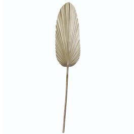 DKD Home Decor Rama Tropical 150 x 27 x 2 cm (12 Unidades) Hoja de Palmera Precio: 55.50000049. SKU: B1H9XNCBCW