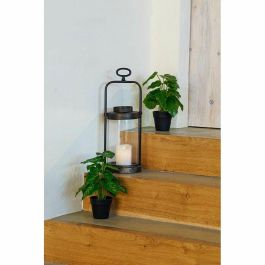 DKD Home Decor Planta Verde Negro 20 x 30 x 20 cm
