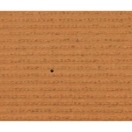 Exelgreen 124414 Hierba Natura 2D 38mm 1x5 m