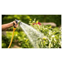 Bosch Bomba para Riego de Jardín con Temporizador y Potencia hasta 25m