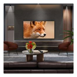 LG OLED Evo OLED77C54LA Televisor 77" Smart TV Ultra HD 4K OLED Evo AI C5 Procesador Alpha 9 Gen 8 2025