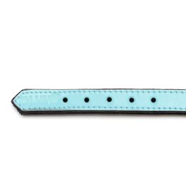 Collar Piel Acolchado 40 cm X 20 mm Azul Collar Piel Acolchado 40 cm X 20 mm Azul