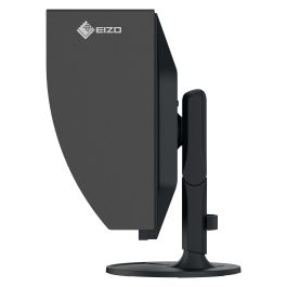 Eizo ColorEdge CG2400S 24" WUXGA IPS 1920x1200 HDMI DP USB Negro