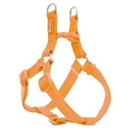 Freedog Arnés Nylon Basic Tipo A Naranja 0.8 X 15-30 cm Precio: 4.49999968. SKU: B12C42TLAJ