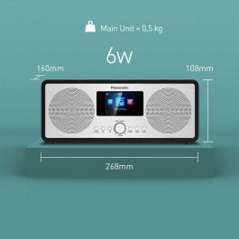 Radio Panasonic RF-D40EG-K Negro FM Retro