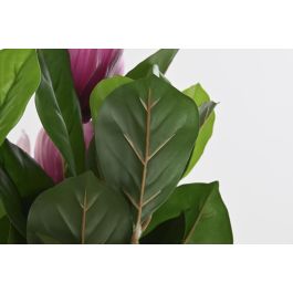 DKD Home Decor Planta Verde Rosa 60 x 125 x 60 cm