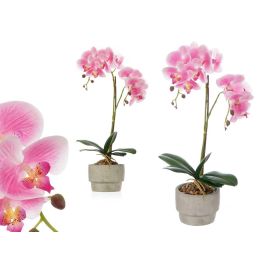 Maceta Terracota Cemento Rosa 2 Varas Ibergarden 16X52CM (6 Unidades) Precio: 46.78999941. SKU: B19AD938S9