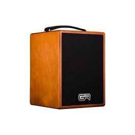 Gr Guitar Combo Acoustic In Wood 5" Precio: 819.88999961. SKU: B1AWTJDK77