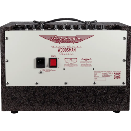 Ashdown Woodsman Amplificador para Guitarra Acústica 40W