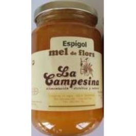 Miel De Espliego 500Gr. Precio: 10.5900003. SKU: B18H6FQH4V