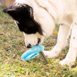 Juguete Mordedor Congelable para Mascotas 2 en 1 Glubiz InnovaGoods