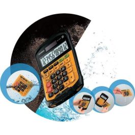 Casio Calculadora WM-320Mt 12 Dígitos, Resistente Agua y Polvo, Amarillo-Negro