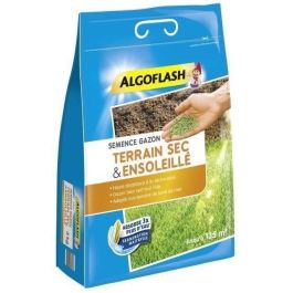 Semillas de césped Dry Sunny Ground 3 kg Semillas de césped Dry Sunny Ground 3 kg Precio: 47.88999952. SKU: B12EMYHDCP
