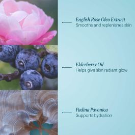 Desmaquillante Facial Elemis Desmaquillante Facial Elemis
