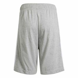 Pantalones Cortos Deportivos para Niños Adidas IS2573 Gris
