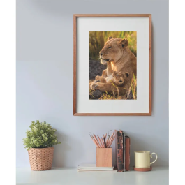 Clementoni Puzzle Compacto de 500 Piezas - Amor Felino - CLE8005125356201