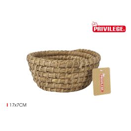 Cesta cónica de mimbre redonda 17x7 cm Privilege (36 Unidades)