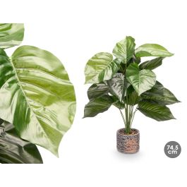 Maceta Redonda Planta Hoja Redonda Gr Ibergarden 15X74CM (4 Unidades) Precio: 59.50000034. SKU: B1AWV369PX