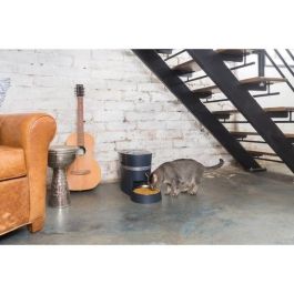 Petsafe Dispensador Smartfeed Conectado Wi-Fi para Croquetas de Perros y Gatos - Programa, Administra y Recibe Notificaciones de 12 Comidas