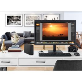 Disco Duro Externo Seagate STKP22000400 Negro 22 TB