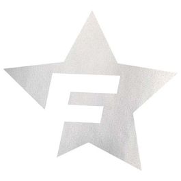 Foliatec Pegatina para Coche Diseño F-Star Plata FO33974 Adhesivo PVC Resistente Exterior 39x41 cm
