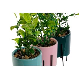 DKD Home Decor Planta Rosa Turquesa Gres 7 x 22 x 7 cm (6 Unidades)