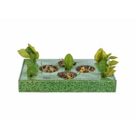 Bandeja de Aperitivos Trixie Verde Cartón 28 x 3,8 x 18 cm Precio: 10.50000006. SKU: B1CEFYLJEV