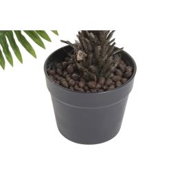 Planta DKD Home Decor Verde 80 x 60 x 80 cm Planta DKD Home Decor Verde 80 x 60 x 80 cm