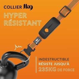 Weenect WEE3770000300789 Collar GPS para Perros Dog XT Resistente al Agua Antena XL Naranja con Suscripción Incluye Collar Julius-K9 Weenect WEE3770000300789 Collar GPS para Perros Dog XT Resistente al Agua Antena XL Naranja con Suscripción Incluye Collar Julius-K9