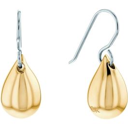 Pendientes Mujer Calvin Klein 35000074 Acero Inoxidable Precio: 108.79000011. SKU: B13VWNLNMW
